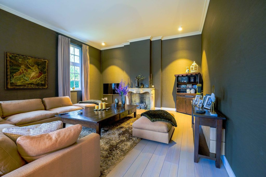 Gezellige woonkamer met haard en comfortabele bank.